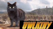 OwlKitty